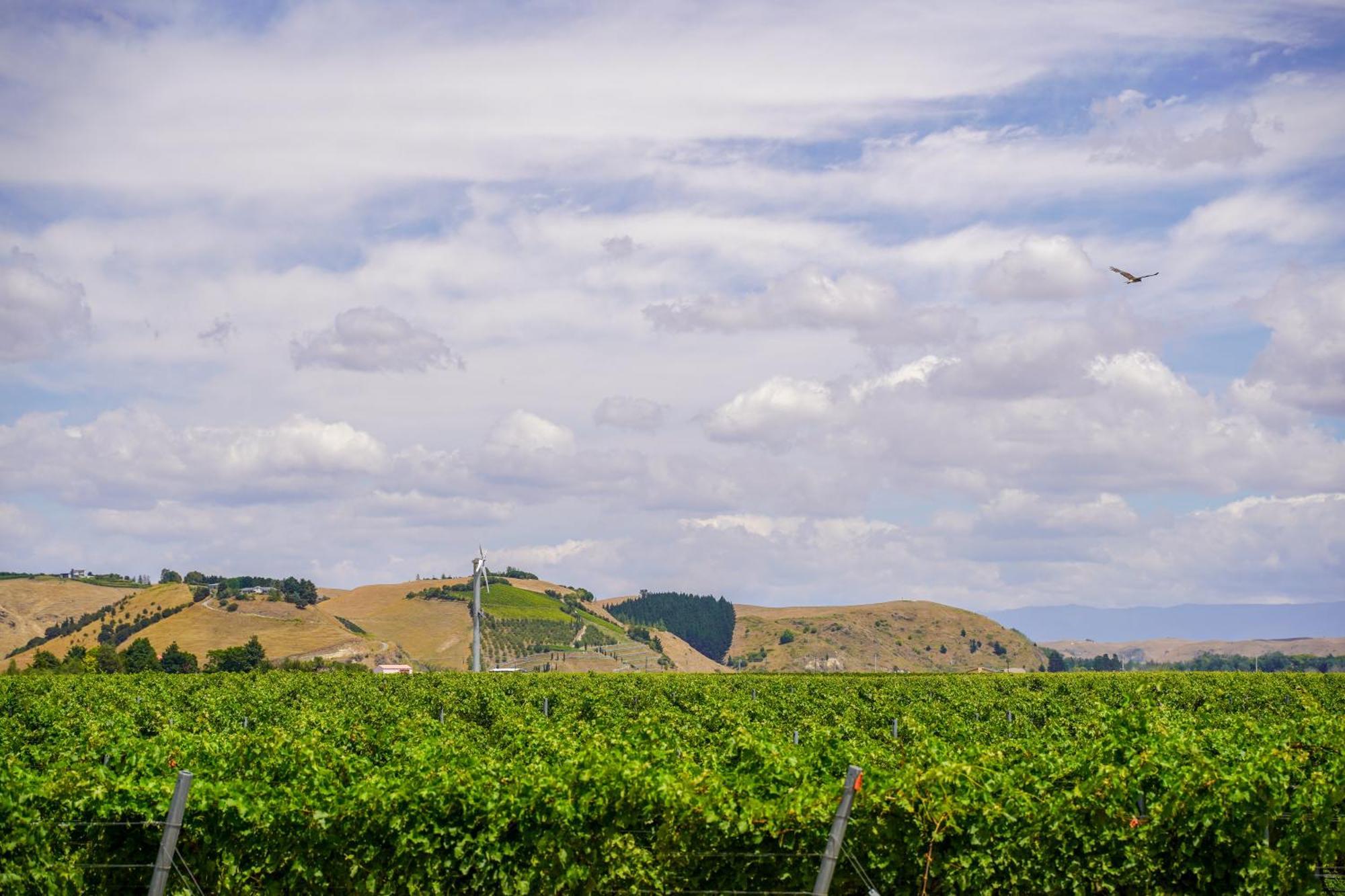 Syrah Suite Unison Vineyard Fernhill المظهر الخارجي الصورة